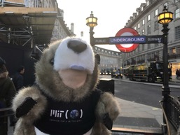 MIT Tim the Beaver in London